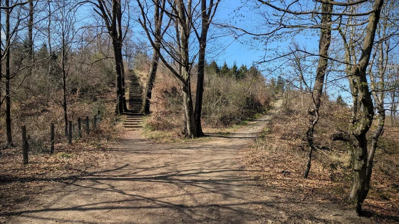 Die ersten Schritte auf Bielefelder Gebiet führen über der A2 entlang zu den gefürchteten Lämmershagener Treppen. 128 Stufen in unterschiedlicher Höhe und ungleichmäßiger Breite gilt es zu bewältigen. Für Wanderer kein Problem, für Läufer sicherlich sehr anstrengend. - © Yvonne Glandien