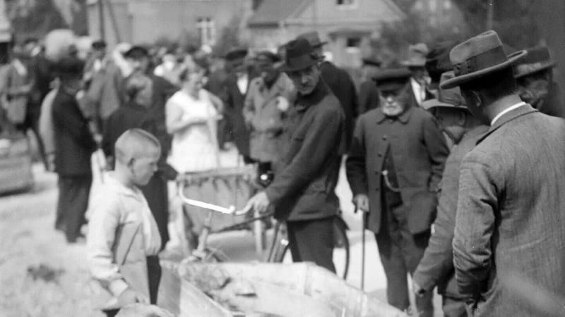 Ferkelmarkt in Oerlinghausen: Auf dem Jahrmarkt an der Marktstraße boten die Viehhändler die Tiere zum Verkauf an – auch kleine Ferkel in Holzkisten. Das Bild stammtvom ehemaligen Lehrer Hermann Diekmann aus den 30er Jahren. - © Repro: Horst Biere
