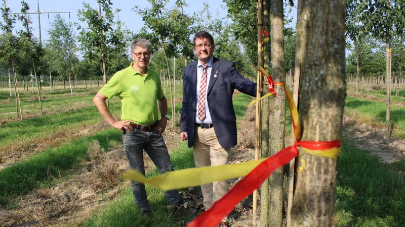 Friedhelm Türich (links), Geschäftsführer der Baumschule Pieper, und der Präsident des Rotary Club Detmold-Blomberg, Bernd Mühlendorf, neben den Eichen. - © Kyrill von Matuschka