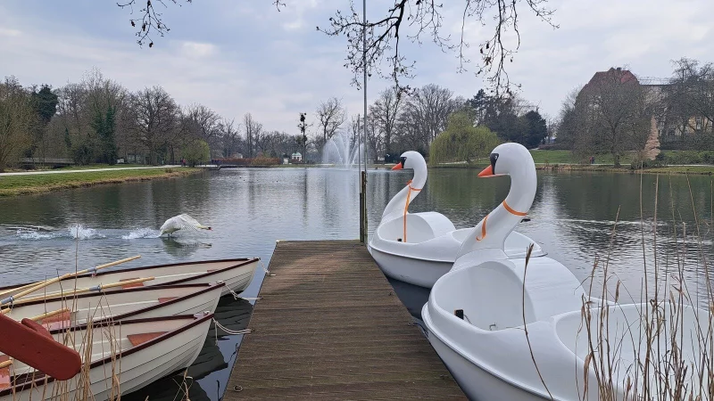Bis auf Weiteres bleiben die Boote im Trockenen. Nur noch echte Schwäne sollen auf dem Kurparksee schwimmen. - © Annika Langhagel
