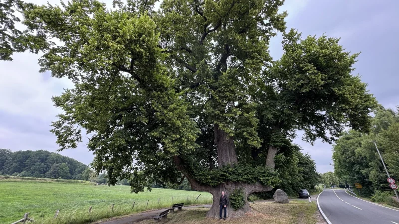 Karl-August Schulze lehnt an der Tanzlinde an der Bextener Straße. - © Sven Kienscherf