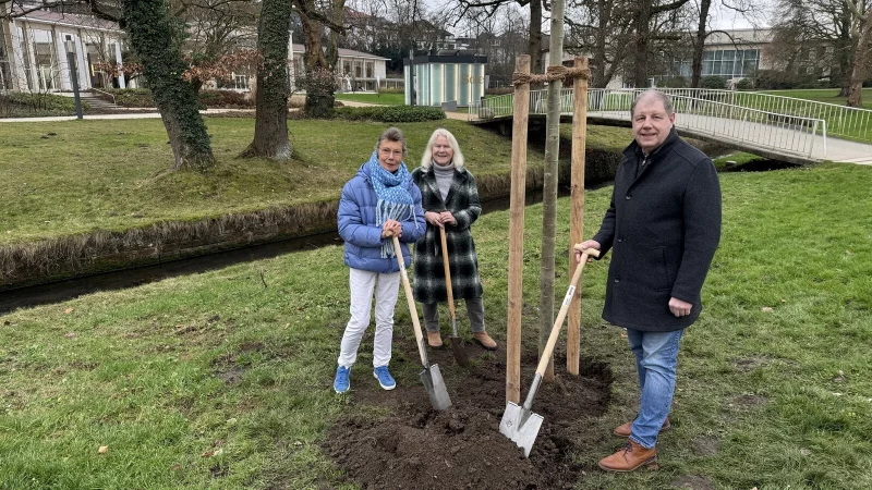Brigitte Scheuer (von links, HVV), Reinhild Dauwe (Fachdienst Tiefbau, Abteilung Stra&szlig;e, Verkehr und Gr&uuml;n) sowie Dr. Stefan Wiesekopsieker pflanzen im Kurpark eine Zitterpappel. - &copy; Sven Kienscherf