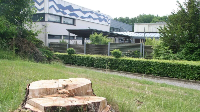 Für eine Sanierung des Bad Meinberger Badehauses werden nun sämtliche Kosten ermittelt. - © Fotoarchiv: Cordula Gröne
