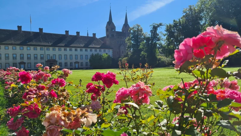 Auch zu der Landesgartenschau in H&ouml;xter vor zwei Jahren kamen viele Besucher. - &copy; Archivfoto: Nadine Uphoff
