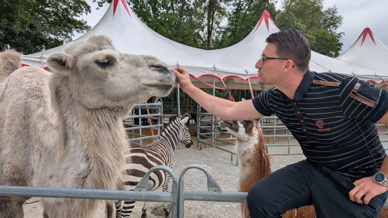 Jeffry Freiwald mit Kamel Shakira auf dem Regenstorplatz in Lemgo. Im Hintergrund tummeln sich Zebra Smiley und Lama Figo. - &copy; Annika Langhagel
