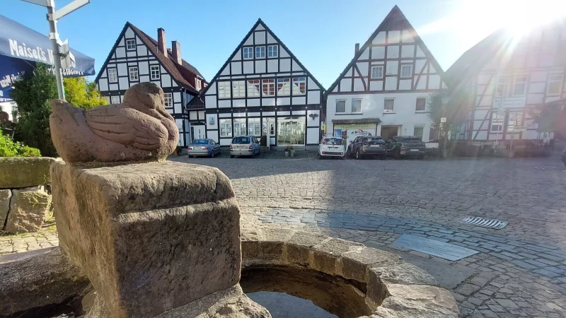 Der Volkwinbrunnen am Schwalenberger Marktplatz mit Fachwerkhäusern im Hintergrund. - © Archivfoto: Michaela Weiße