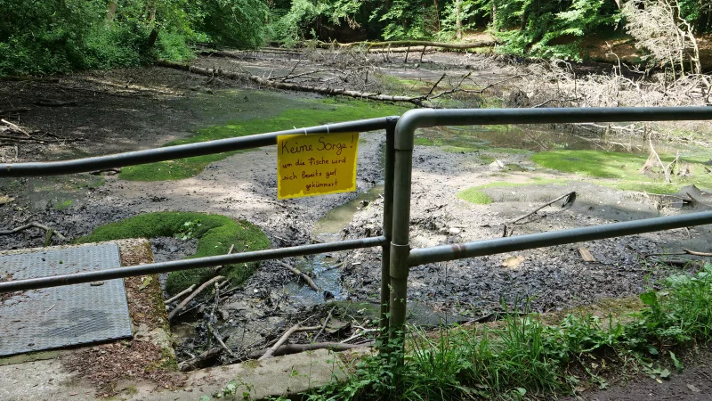 „Keine Sorge. Um die Fische wird sich bereits gut gekümmert“ – Mit diesem Hinweisschild möchte Ann-Kristin Beinhorn von der Wasserschildkrötenarche Bielefeld besorgte Bürgerinnen und Bürger beruhigen. - © Martin Düsterberg