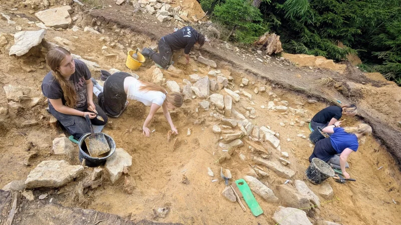 Studenten der University of Cardiff bei arch&auml;ologischen Ausgrabungen auf dem Piepenkopf in D&ouml;rentrup, wo sie eine historische Wallanlage freilegen. - &copy; Yvonne Glandien