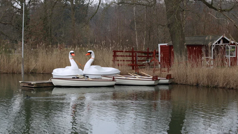 Sorgen f&uuml;r Diskussionen: Die beiden im Fr&uuml;hjahr gespendeten Schwanentretboote. Aktuell ruht der Verleih. - &copy; Annika Langhagel