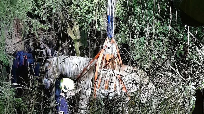 Feuerwehrkräfte heben das Pferd mittels Spezialgerät aus dem Bachlauf in Lage-Oetternbach. - © Feuerwehr Lage
