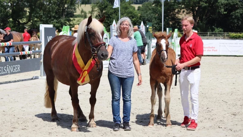Anja Deppenmeier mit ihrem Hengstfohlen Willy, Siegerfohlen 2024, und dem D&ouml;rentruper Z&uuml;chter Jendrik Barth. - &copy; Jana Linnenbr&uuml;gger