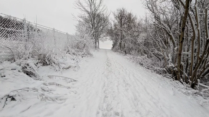 Reichlich Schnee hat es am Wochenende gegeben. Auch in der Nacht zu Montag hat es geschneit. - &copy; Yvonne Glandien