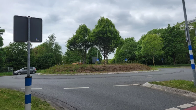 Nachdem der Wildwuchs beseitigt wurde, ist wieder Durchblick möglich. - © Vasco Stemmer