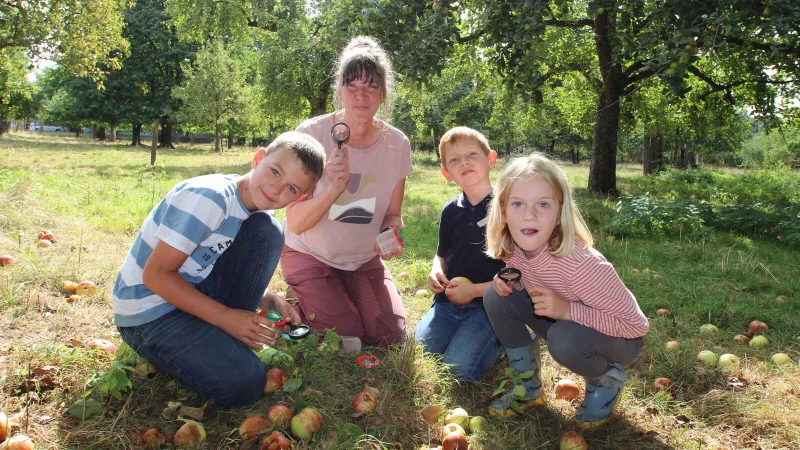 Mit Streuobstpädagogin Vanessa Kowarsch erforschen Henri (links), Phillip und Merle aus der Klasse 3a der Lemgoer Ostschule Tiere mit zwei, vier, sechs und acht Beinen. - © Jens Rademacher