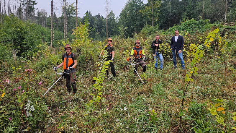 Die drei (mittlerweile ausgelernten) Forst-Azubis, F&ouml;rster Alexander von Leffern und Staff-Stiftung-Gesch&auml;ftsleiter Sebastian Prei&szlig; (von links) auf der Fl&auml;che am Bornsiekbach, wo die neuen B&auml;ume wachsen. - &copy; Alte Hansestadt Lemgo