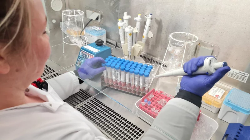 Tausende von Proben sind bereits durch die Hände der CVUA-Mitarbeiter in Detmold gegangen. Bis jetzt hat sich allerdings für den Kreis Lippe nur ein einziger Fall - eine tote Wildgans in Oerlinghausen - nachweisen lassen. - © Marianne Schwarzer