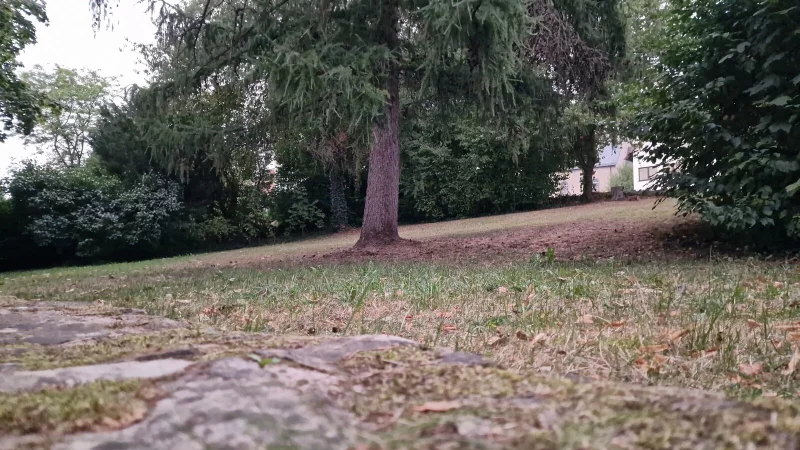 Um diese Gr&uuml;nfl&auml;che am S&uuml;dhagenweg gegen&uuml;ber der Grundschule B&ouml;singfeld geht es. - &copy; Nadine Uphoff