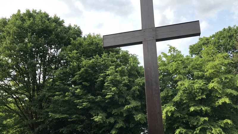 Zu teuer? Die Gemeindepr&uuml;fungsanstalt NRW bem&auml;ngelt, dass die Geb&uuml;hren nicht die Kosten decken, die die Barntruper Friedh&ouml;fe verursachen. Das Foto zeigt den Waldfriedhof. - &copy; Chiara Wibbeke/Archivfoto