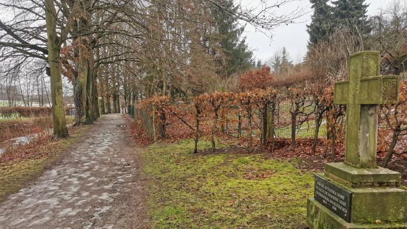 Die Blutbuchenallee im S&uuml;den Barntrups mit dem Erinnerungskreuz. - &copy; Sylvia Frevert