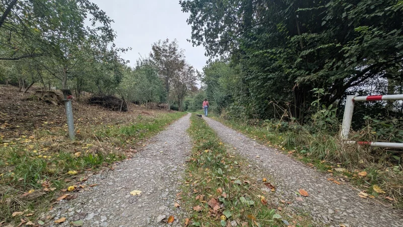 Die Forstwege im Lemgoer Stadtwald m&uuml;ssen ausgebessert werden. - &copy; Symbolfoto: Annika Langhagel