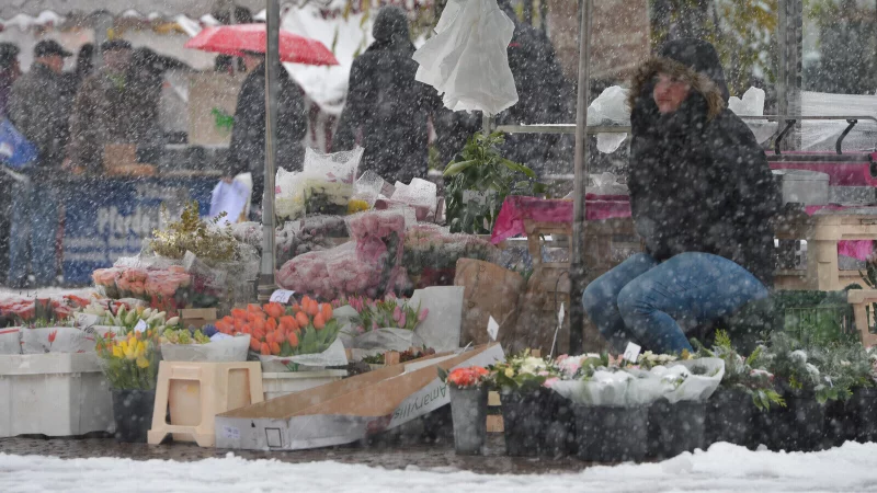 Blumenverk&auml;uferin Eda Erkol wartet in Wiesbadenauf Kundschaft. Schnee, Eis und K&auml;lte setzen den Wochenm&auml;rkten zu - in Lemgo beispielsweise hat der Blumenh&auml;ndler sein Kommen bereits abgesagt. - &copy; picture alliance / dpa