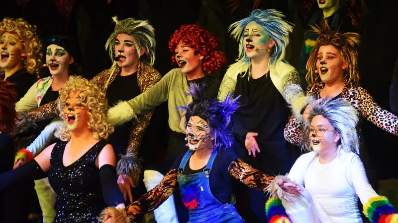 Für das Musical "Cats" haben sich Schüler des Grabbe-Gymnasiums in Katzen verwandelt. - © Nicole Ellerbrake