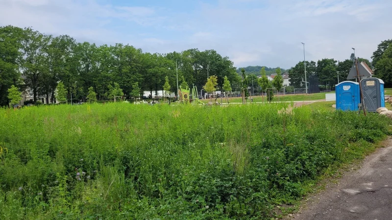 Der Plan, ein Ärztehaus am Jahnplatz zu errichten, ist vom Tisch. Dafür kann sich die Stadt dort wieder Wohnmobilstellplätze vorstellen. - © Archivfoto: Astrid Sewing