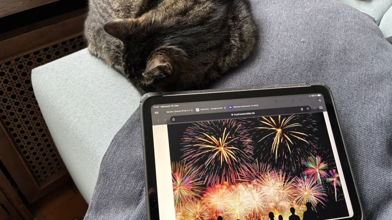 Ein Bild von Silvester bringt die Katze des Hauses nicht aus der Ruhe. Das "echte Knallen" allerdings schon. - &copy; Thomas Reineke