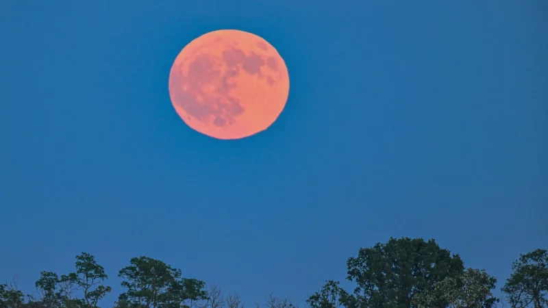 Mittwochabend gegen 22 Uhr wird der Erdbeermond, ein seltenes Naturphänomen, in OWL am Himmel stehen. Doch spielt das Wetter auch mit? - © Patrick Pleul/dpa