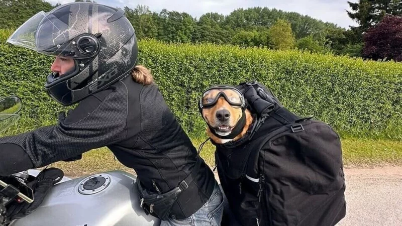 Dusty Wenk und ihr Hund Shorty, der bei kürzeren Fahrten immer dabei ist. - © Bildrechte: Dusty Wenk