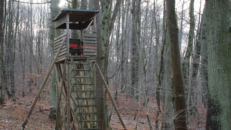 Auf dem Hochsitz im Revier an der Langen Rieke bei Warburg-N&ouml;rde wurde der 23-J&auml;hrige aus Paderborn von der Kugel t&ouml;dlich getroffen. Dort stehen Kerzen. - &copy; Dieter Scholz