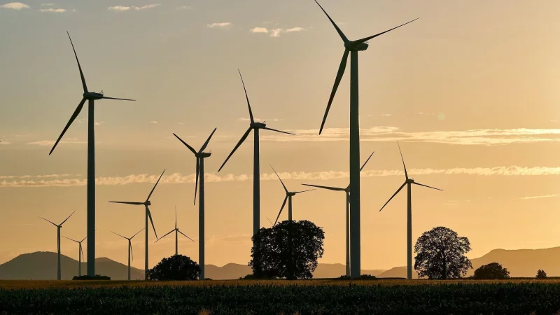 Mehr Windräder dürfte es künftig geben, allerdings nur in festgelegten Bereichen. - © Pixabay