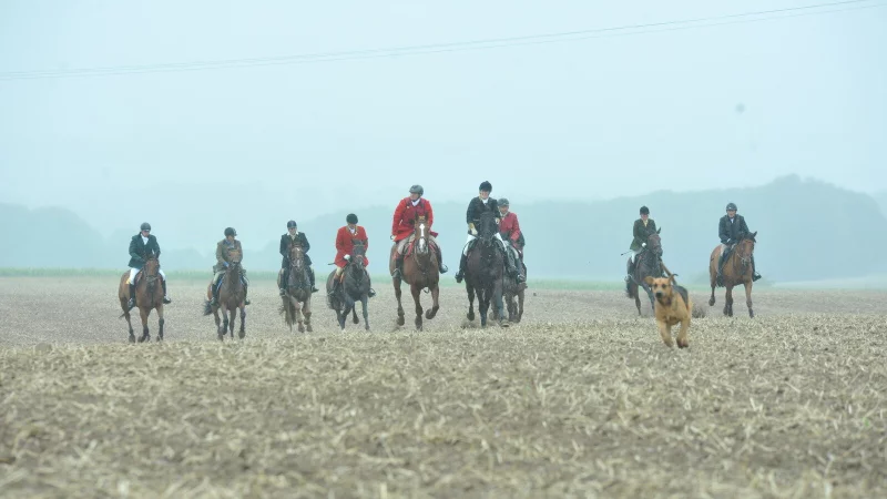 Eindrücke einer Schleppjagd in Dörentrup aus dem Jahr 2019. - © Nicole Ellerbrake