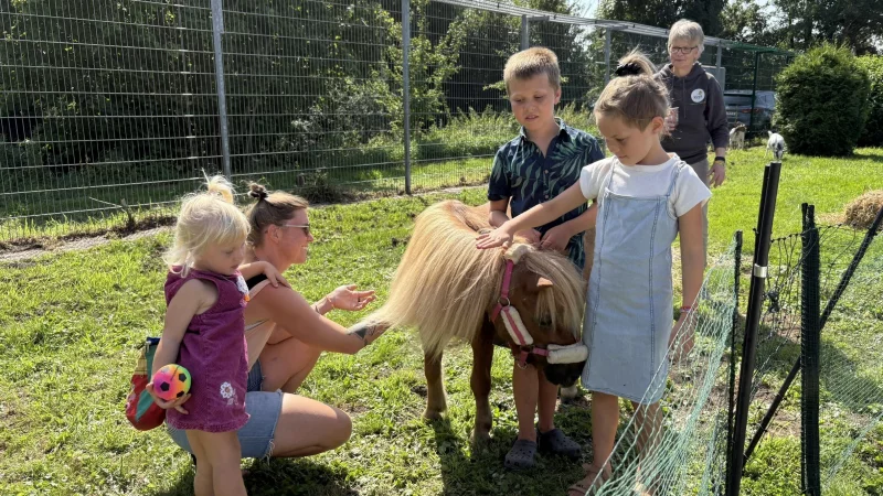 Anna Sowa (von links) f&uuml;hlt sich mit Pony "Sophia" noch nicht ganz sicher. Ihre Mutter Katharina Sch&uuml;rhoff und ihre Geschwister Bruno und Polli Sowa streicheln das Pferd, w&auml;hrend Anke Hackemack im Hintergrund schaut, dass nichts passiert. - &copy; Jan Schillmann
