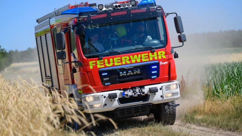 Mit steigenden Temperaturen wird auch die Gefahr für Brände in der Natur höher. - © Patrick Pleul/dpa