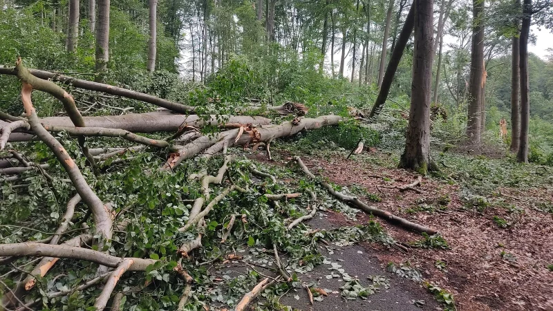 Im Kurgebiet in Randringhausen zog der Sturm erhebliche Schäden nach sich. - © Stadt Bünde