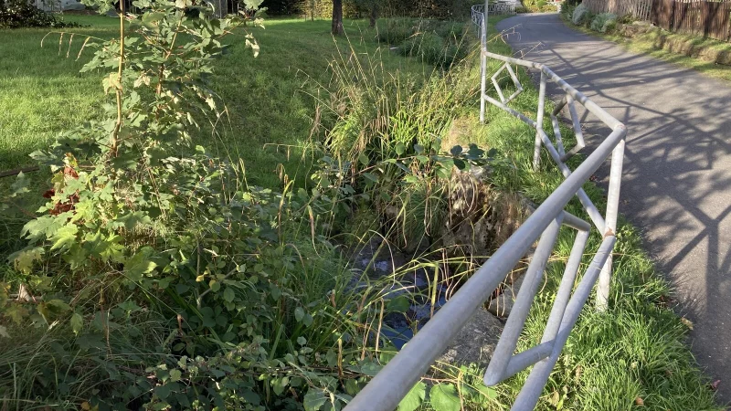 Auch der Bachlauf, der durch Holzhausen-Externsteine f&uuml;hrt, ist trocken. - &copy; Cordula Gr&ouml;ne