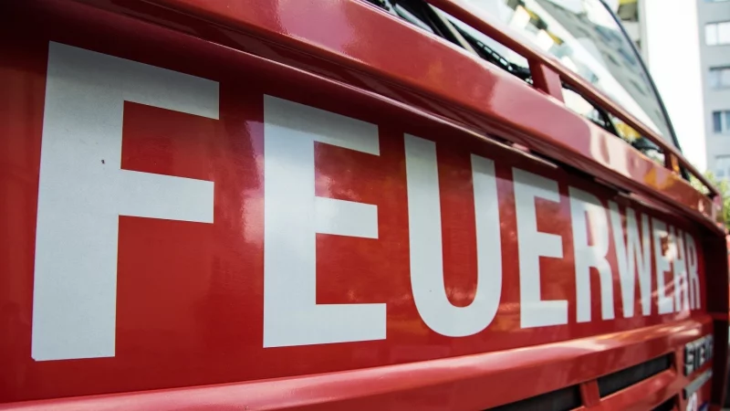 Die Feuerwehr ist am Neujahrstag zu einem Heckenbrand in Hohenhausen ausger&uuml;ckt. - &copy; Pixabay/Symbolbild