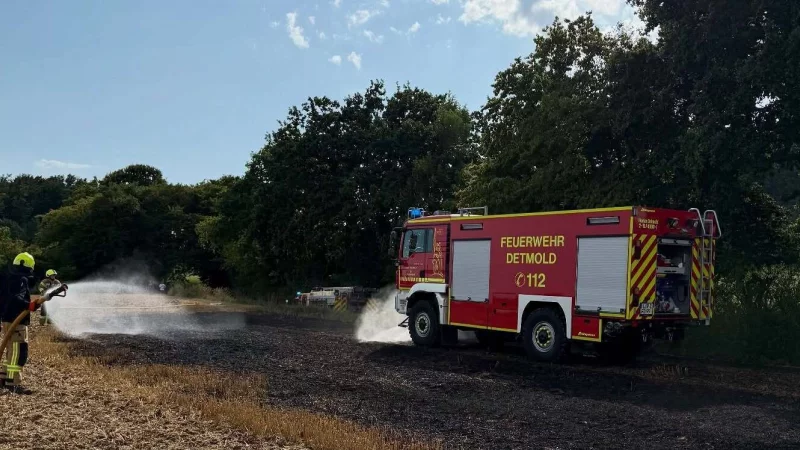 Einen Feldbrand hat die Detmolder Feuerwehr in Brokhausen l&ouml;schen m&uuml;ssen. - &copy; Feuerwehr Detmold