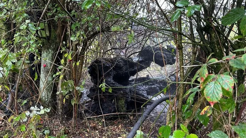 Die Feuerwehr Schieder-Schwalenberg löschte am Freitag einen brennenden Baumstumpf. - © Feuerwehr Schieder-Schwalenberg