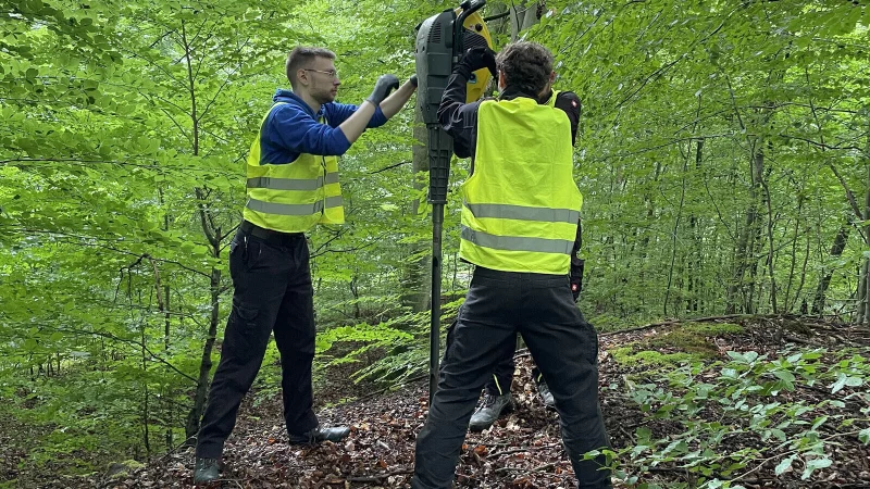 Rammkernsondierung: Eine hohle Metallstange wird maschinell bis zu drei Meter tief in den Boden getrieben - &copy; Lippisches Landesmuseum