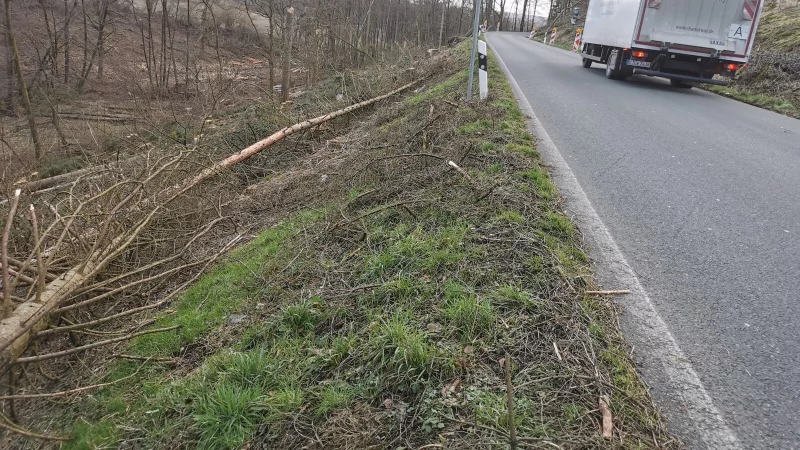 2022 tat sich nach Baumfällarbeiten ein ungesicherter Abgrund an der Sternberger Straße auf. Der Ruf nach einer Leitplanke wurde laut. Zunächst sollte die allerdings nicht gebaut werden. - © Archivfoto: Sylvia Frevert