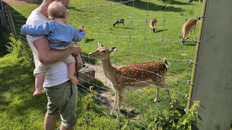 Das Wildgehege von Haus Berkenkamp liegt am Familienwanderweg in Hörste. Dieser Weg soll nun in zieglerweg umbenannt werden. - © Astrid Sewing