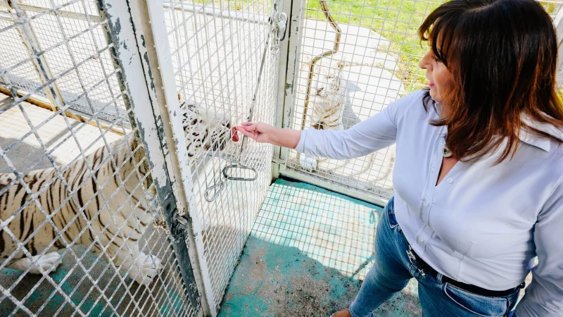 Safariland-Chefin Elisabeth Wurms begr&uuml;&szlig;t Kaya in dem Freizeitpark im Kreis G&uuml;tersloh. - &copy; BESIM MAZHIQI