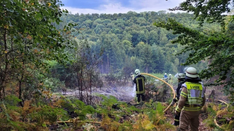 Die Feuerwehr Lügde löscht einen "versteckten" Waldbrand. - © Feuerwehr Lügde