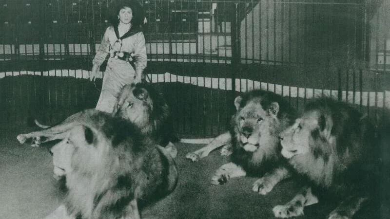 Dora Friese sorgte mit ihren Dressuren weltweit für Furore. - © Archiv: Friese