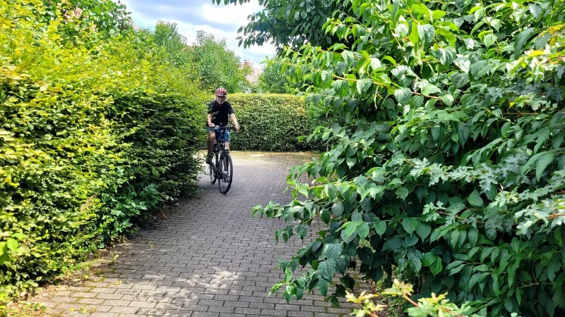 Werner Kloppmann vom ADFC f&auml;hrt mit seinem Rad auf dem schmalen Weg zwischen Hornschem Weg und Zum Kleinen Siek. Bis vor wenigen Tagen wuchs die Hecke noch auf den Weg, jetzt wurde sie geschnitten. - &copy; Katrin Kantelberg