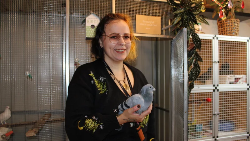 Jessica Strohbach hat Taube Fiona auf dem Arm. Mit einem gebrochenen Fl&uuml;gel und einem verletzen Auge kam der Vogel bei ihr unter. - &copy; Raffael Giebel