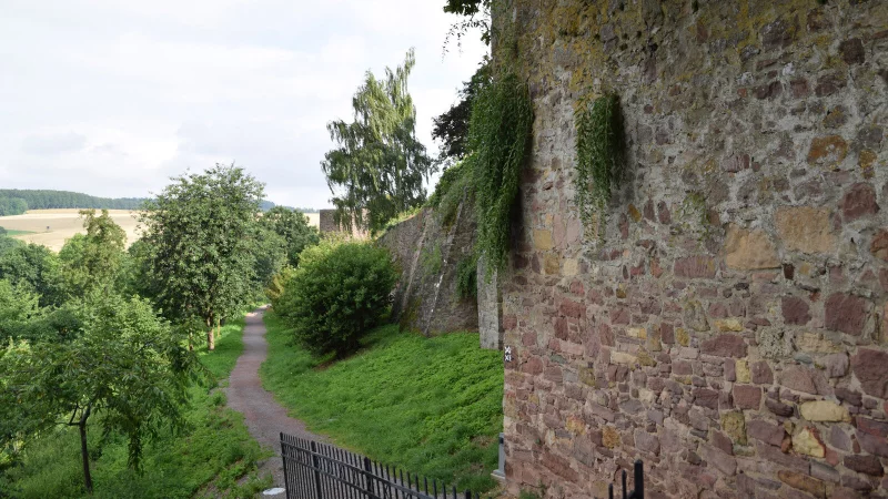 Die Stadtmauer in Blomberg wird Thema zweier Führungen sein. - © Stadt Blomberg
