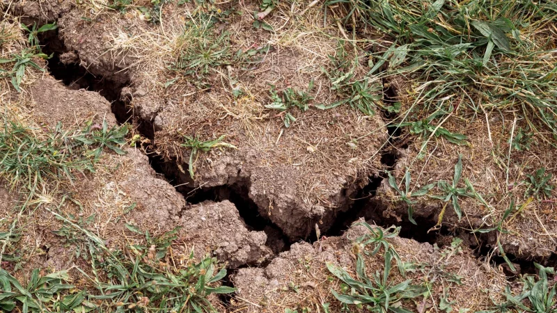 Geht es nach dem BUND, wird in Teilen von OWL das Grundwasser knapp. - &copy; Daniel Vogl/dpa